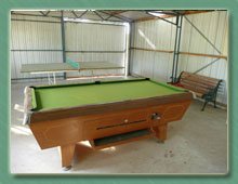 Billiard & Table Tennis Tables